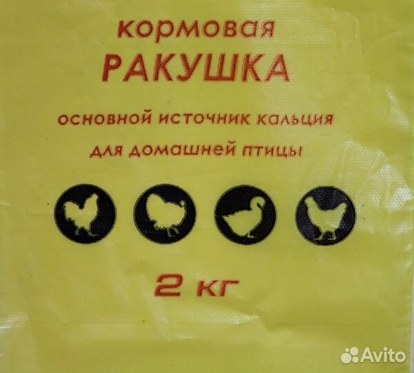 Ракушка кормовая морская