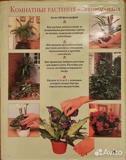 Питер Мак-Кой: Комнатные растения. Энциклопедия