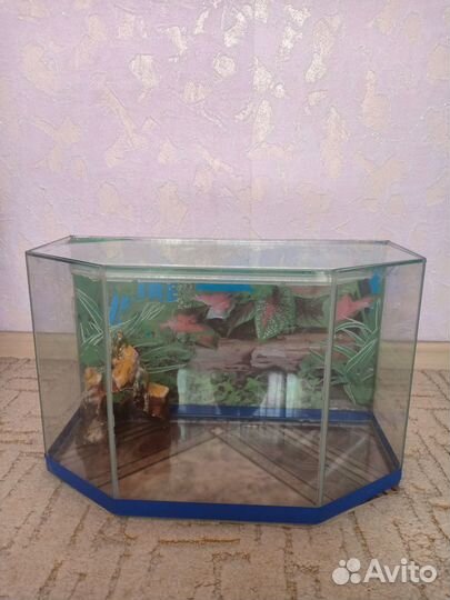 Аквариум
