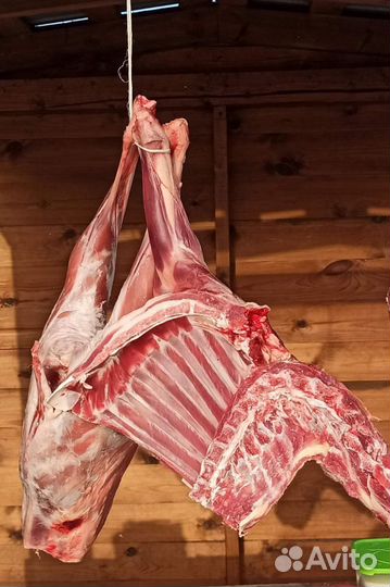Продам мясо барана
