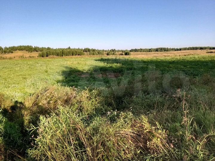 Участок 436 га (СНТ, ДНП)