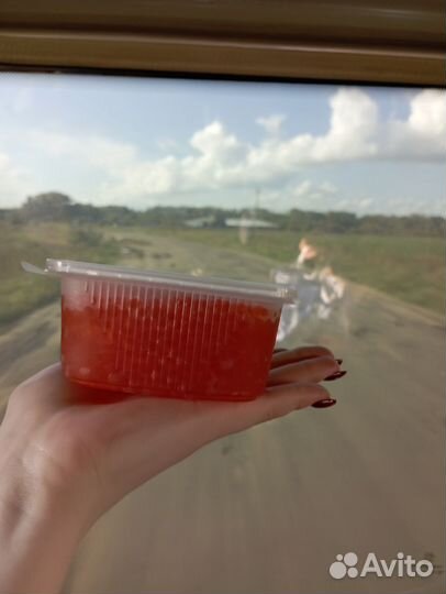 Красная икра горбуши