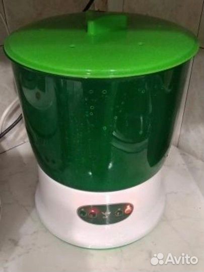 Проращиватель