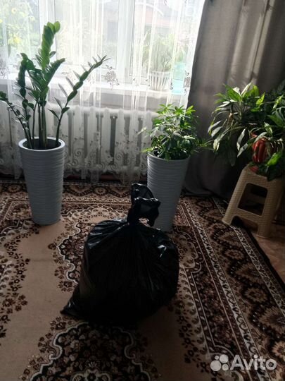 Женские вещи мешком