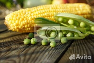 Упаковщики фасовщики