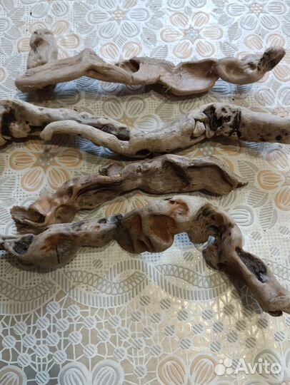 Коряги дрифтвуд