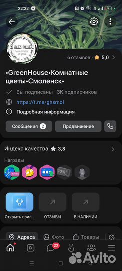 Фикус шривериана