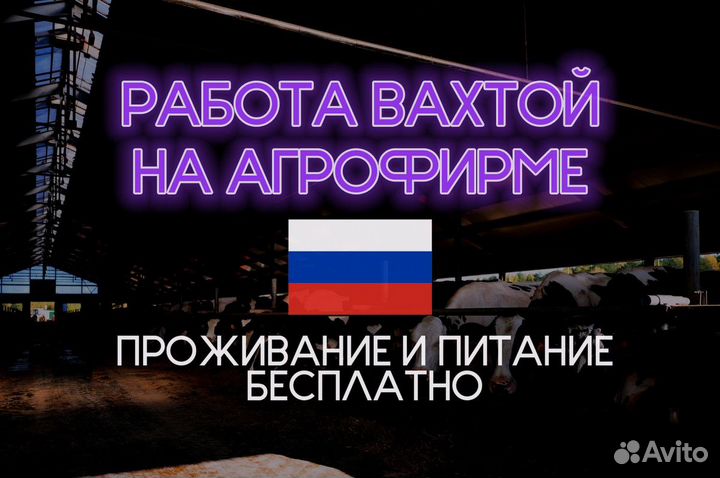 Тракторист механизатор на агрофирму с проживанием