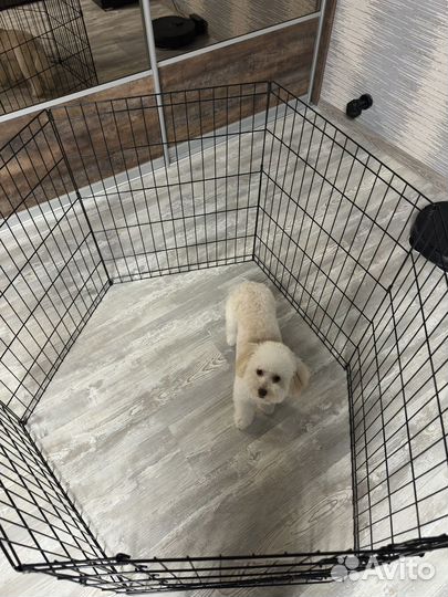 Вольер для собак в квартиру