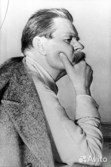 Фотография