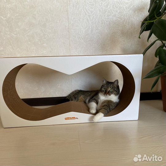 Картонная когтеточка