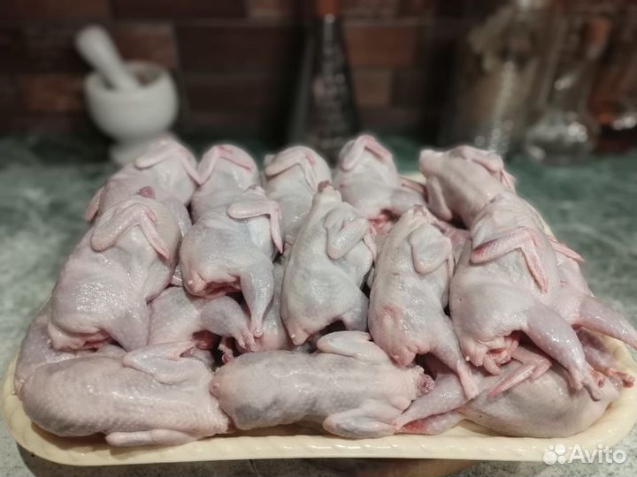 Мясо перепела