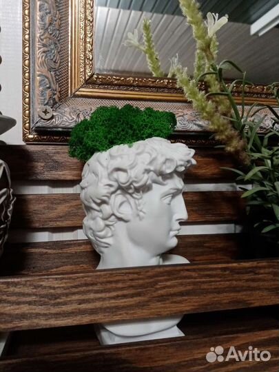 Стабилизированный мох, Апполон, скульптура