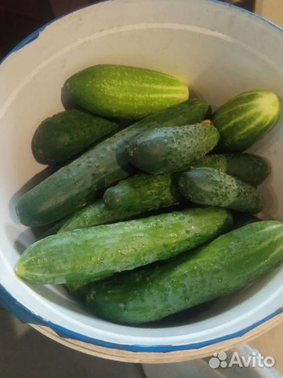 Яблоки,кура гриль домашняя