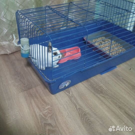 Клетка для декоративного кролика