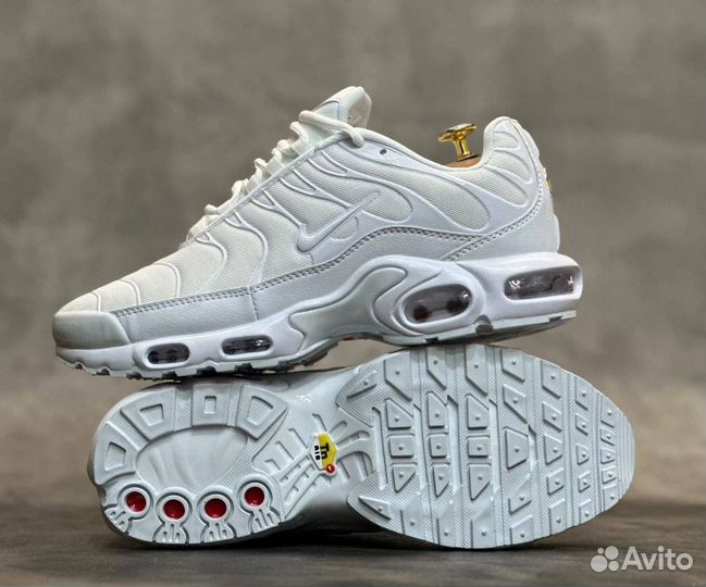 Кроссовки Nike Air Max Tn Plus