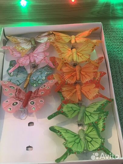 Флористика бабочки