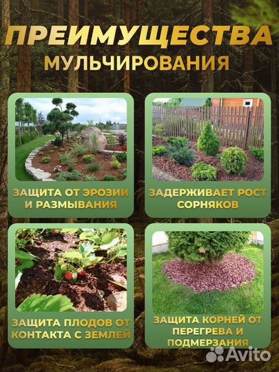 Кора сосны и лиственницы. Фракции: 0-1, 1-4, 4-10