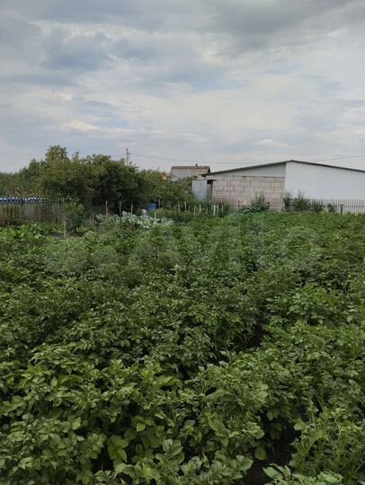 Участок 4,9 сот. (СНТ, ДНП)