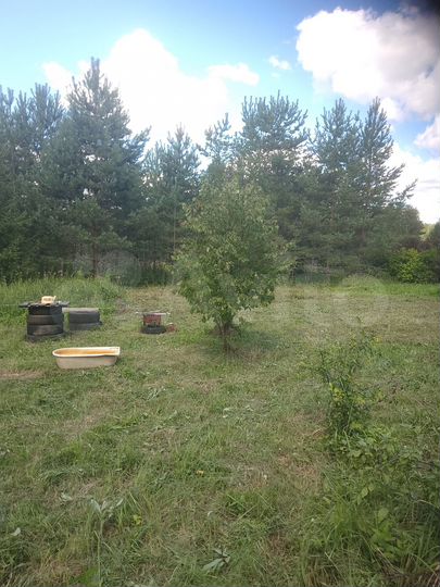 Участок 15 сот. (ИЖС)