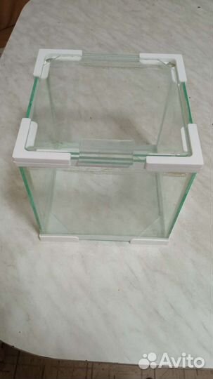 Аквариум для петушка