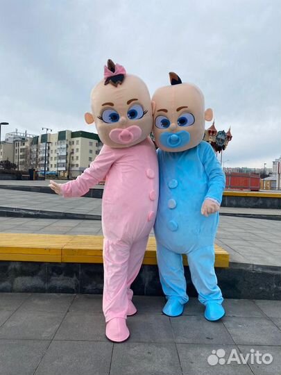 Гендер-Пати. Поздравление Пупсов