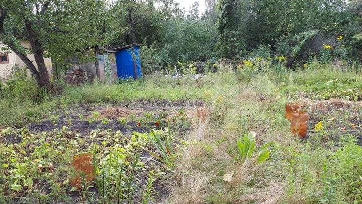 Дача 25 м² на участке 5 сот.