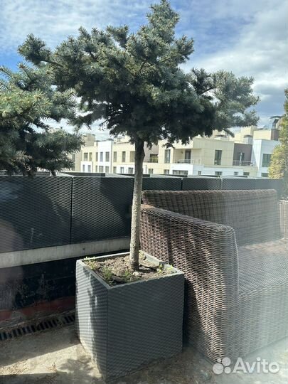 Уличные кашпо пр-во Европа