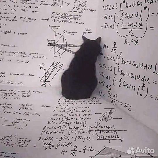 Репетитор по физике и математике