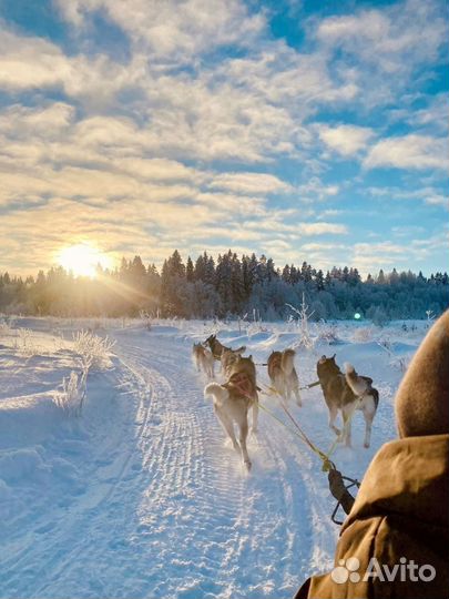 Праздничные каникулы в Карелии