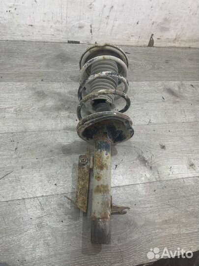 Амортизатор передний правый Ford Focus