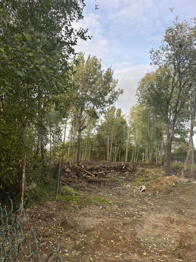 Участок 16,5 сот. (ИЖС)