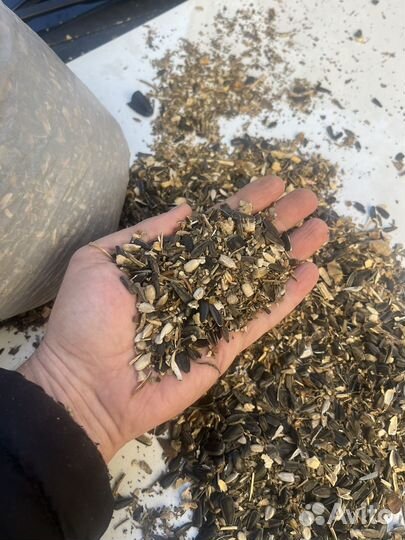 Отходы семечки