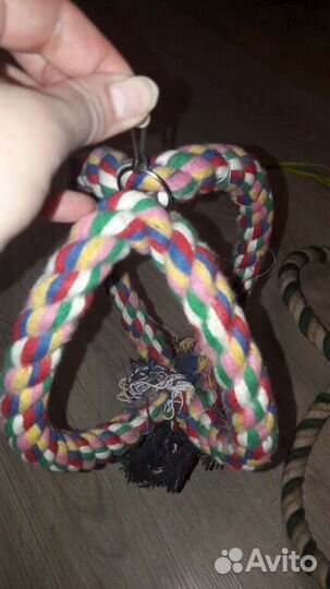 Кольца для попугаев