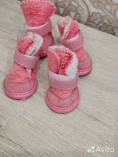 Ботинки для маленьких собак