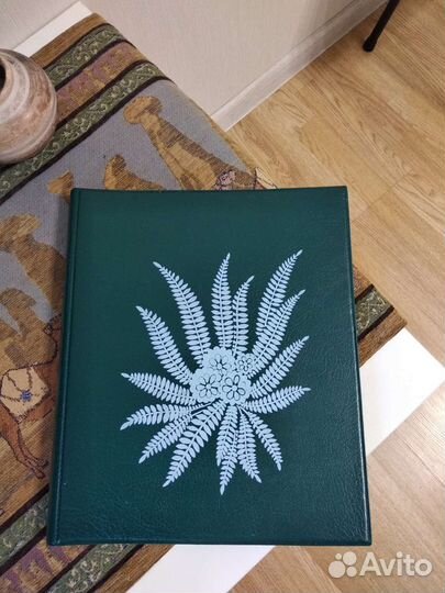 Фотоальбом СССР