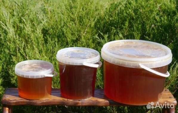 Мёд костромской разнотравье. Урожай 2023 года