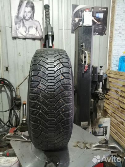 Cordiant Polar 205/65 R15