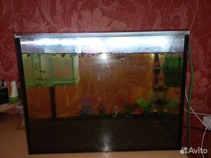 Аквариум