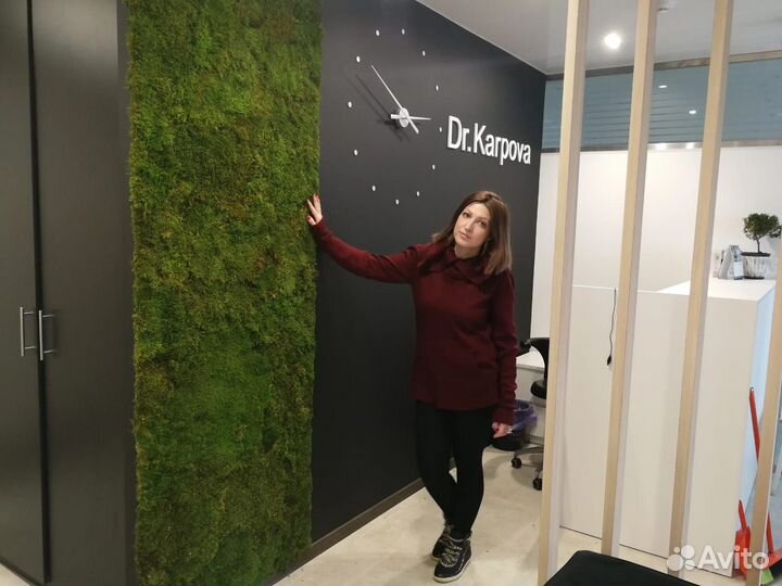 Стены, панно, картины из мха растений. Арт256, от