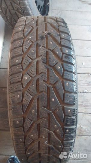 Tigar Winter 205/60 R16