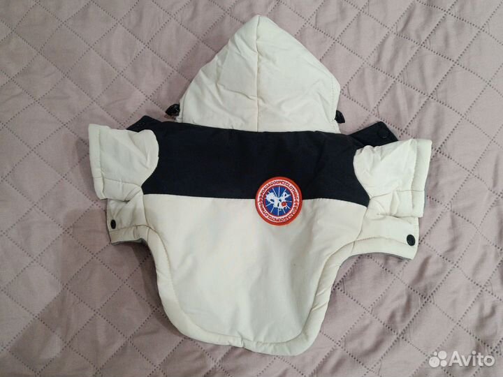 Новая зимняя куртка для собак мелких пород