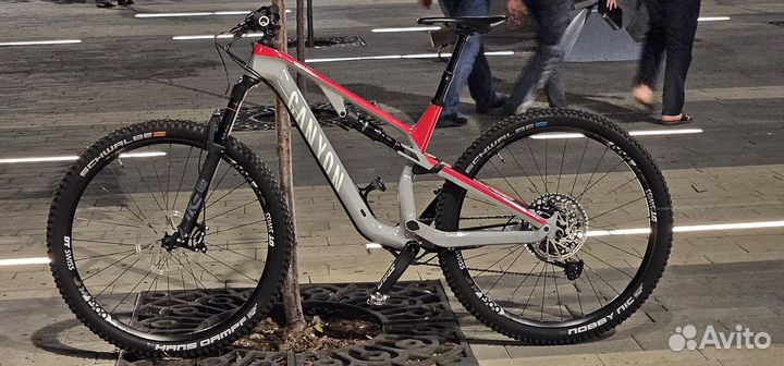 Canyon neuron 29 carbon