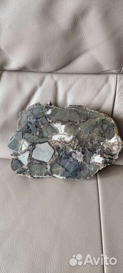 Септария спил