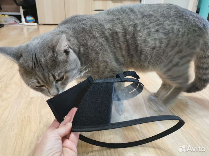 Воротник защитный на липучке с ошейником N12,5