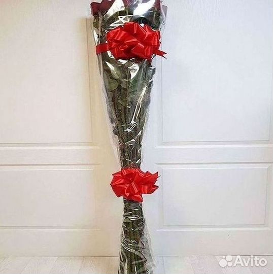 Высокие розы Гигантские розы 110