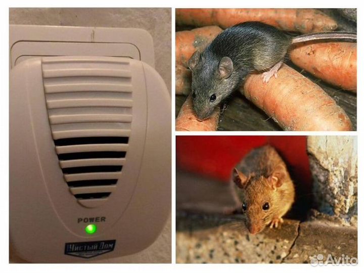 Ультразвуковой отпугиватель крыс и мышей Чистый До