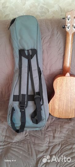 Укулеле flight концерт