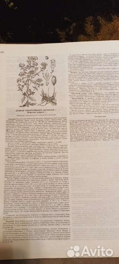 Атлас ареалов ресурсов лекарственных растений СССР