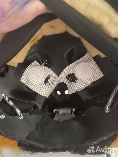 Фурсьют кота